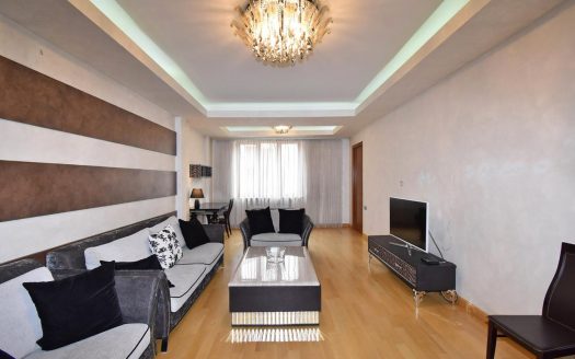 stylish apartment at northern avenue in a small center of Yerevan Armenia